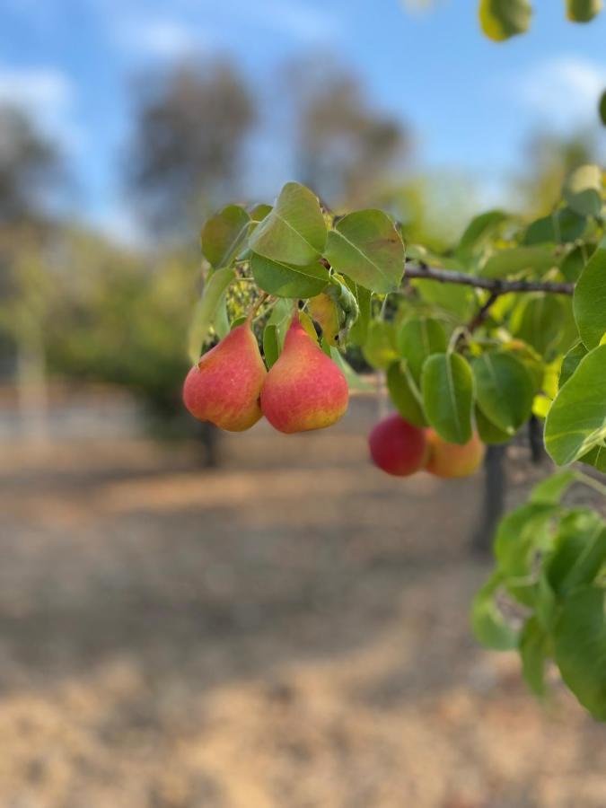 אוריה Villa Vita מראה חיצוני תמונה